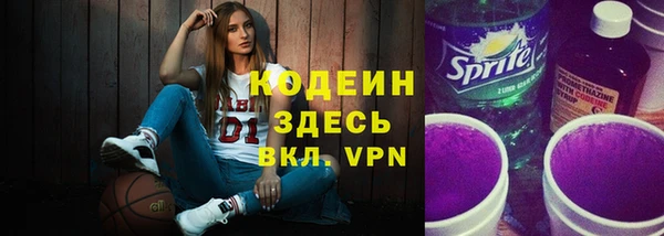 индика Богданович