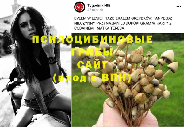 твердый Богородск