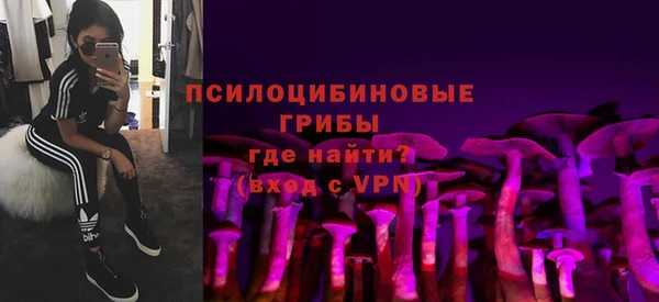 индика Богданович