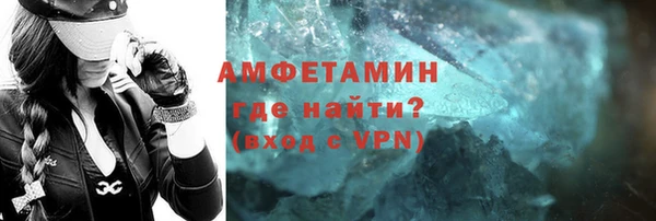 индика Богданович