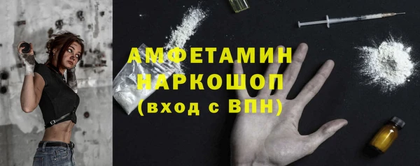 индика Богданович