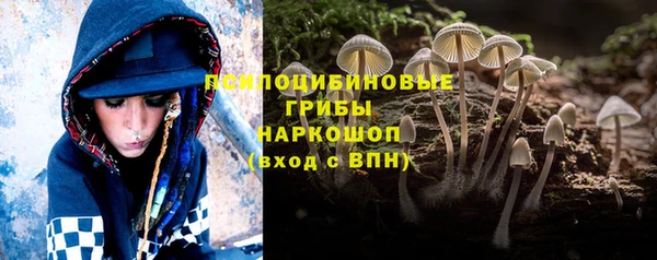 индика Богданович