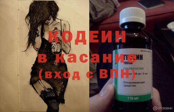 индика Богданович