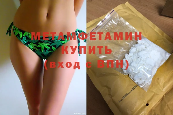 индика Богданович