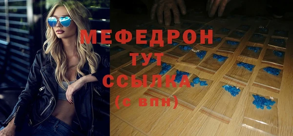 индика Богданович